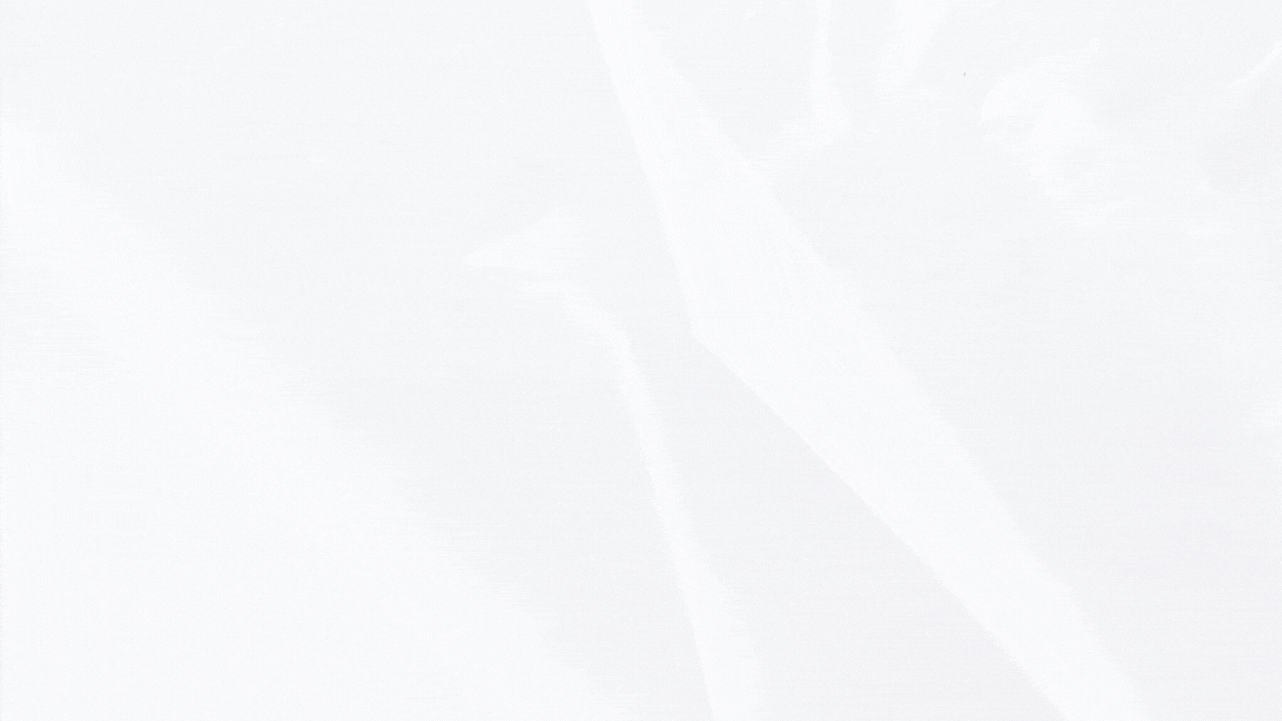 1.2 - Elevator Pitch